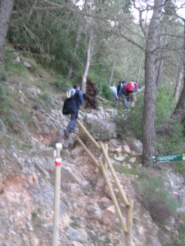 p1010002.jpg