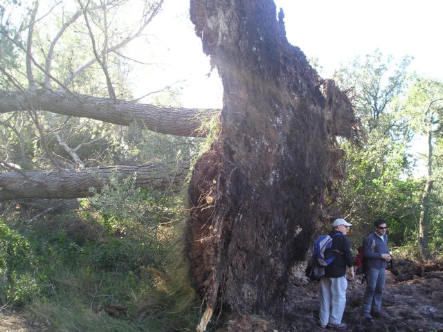p1010009.jpg