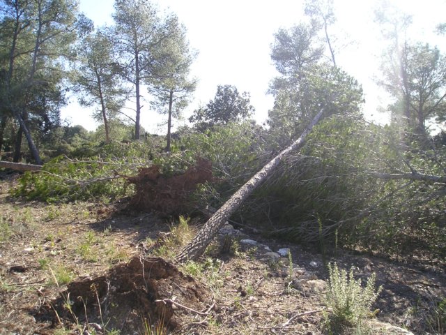p1010018.jpg