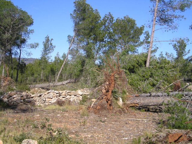 p1010022.jpg