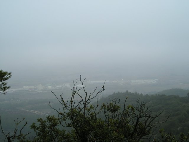 p1010013.jpg