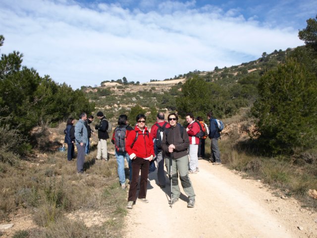 p2220450.jpg