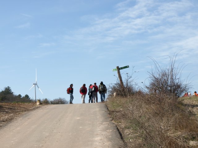 p2220458.jpg