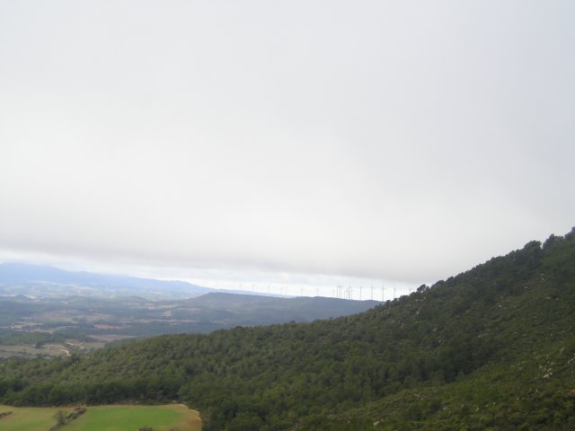 p1010040.jpg