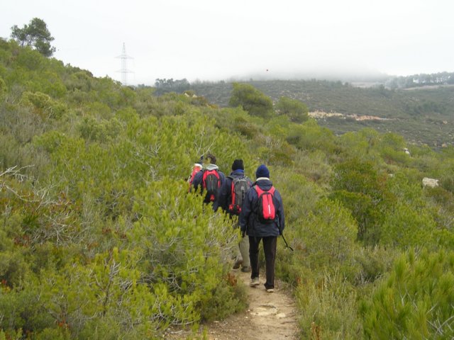 p1010041.jpg