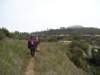 p1010042_small.jpg