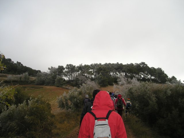 p1010048.jpg