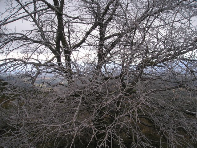 p1010050.jpg