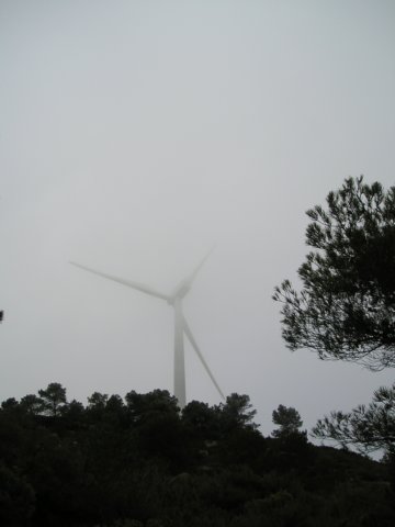 p1010053.jpg