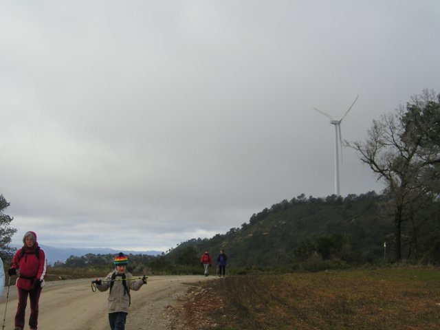 p1010056.jpg