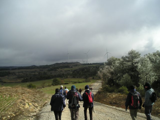 p1010058.jpg