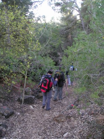 p1010006.jpg
