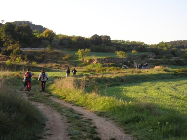 p1010007.jpg