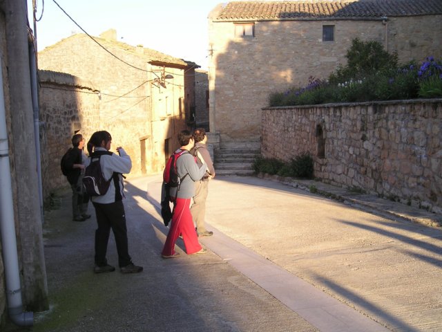 p1010010.jpg