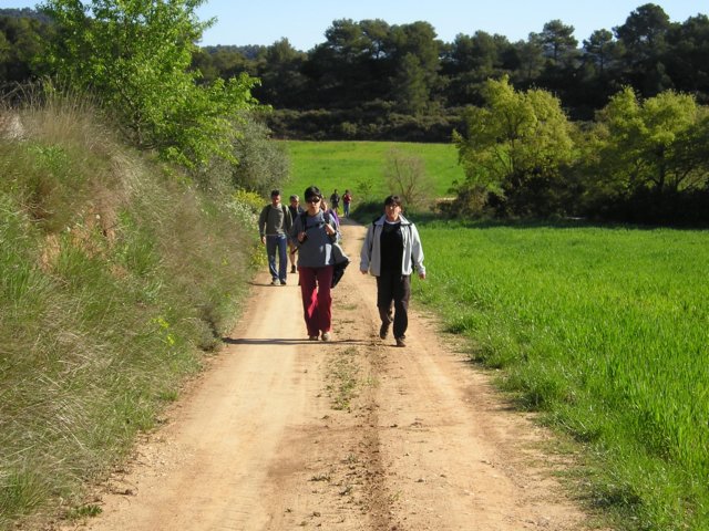 p1010016.jpg