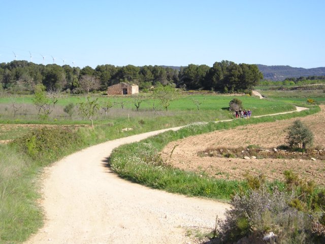 p1010019.jpg