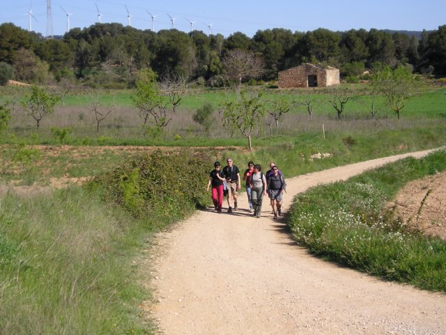 p1010021.jpg