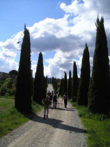 p1010038.jpg