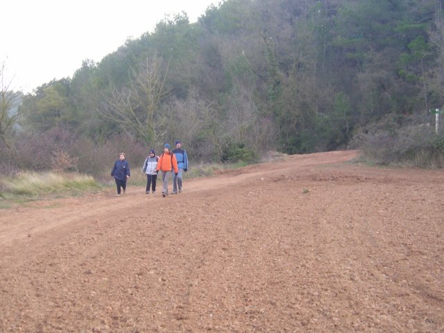 p1010004.jpg