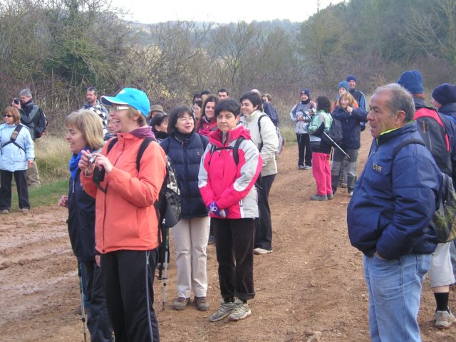 p1010006.jpg