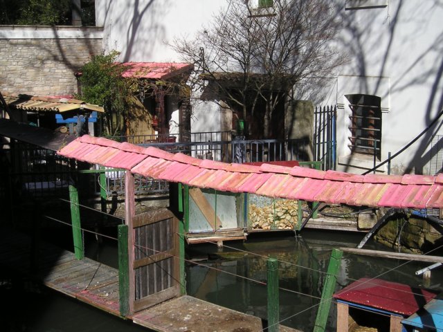 p1010022.jpg