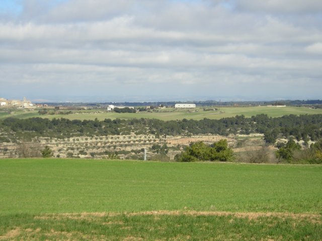 p1010031.jpg