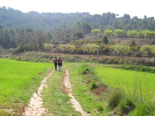 p1010040.jpg