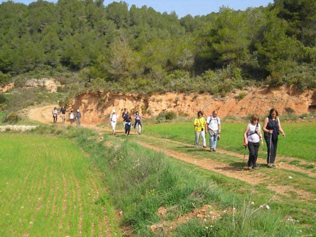 p1010042.jpg