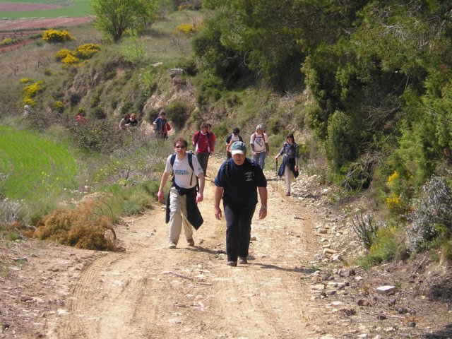 p1010051.jpg