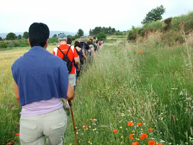 dscf5094.jpg