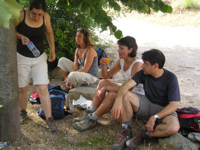 p1010006.jpg