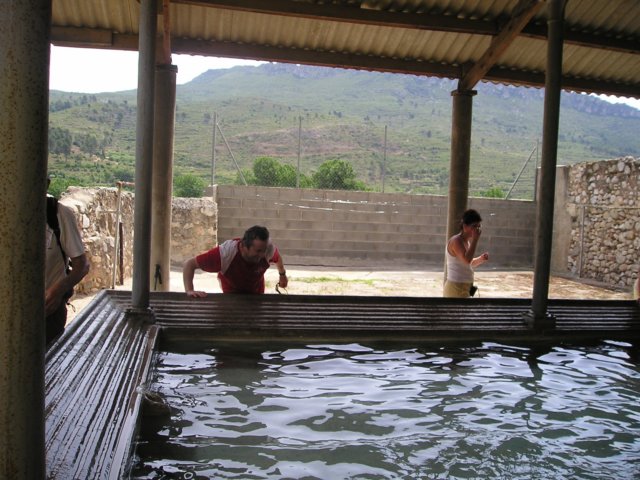 p1010018.jpg