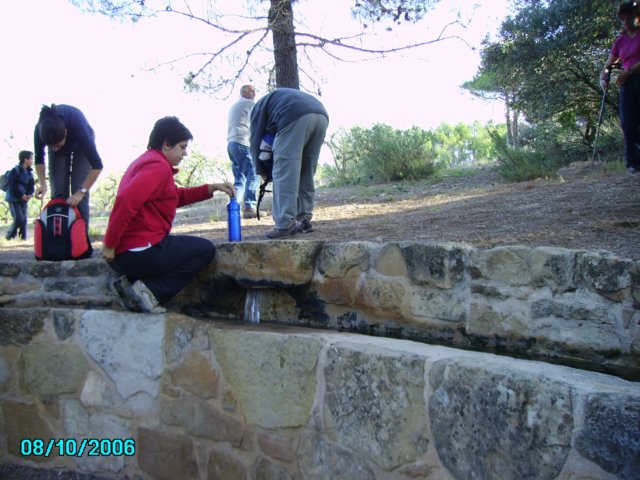 imgp0664.jpg