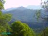 imgp0667_small.jpg