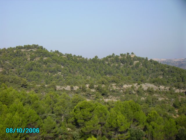 imgp0668.jpg