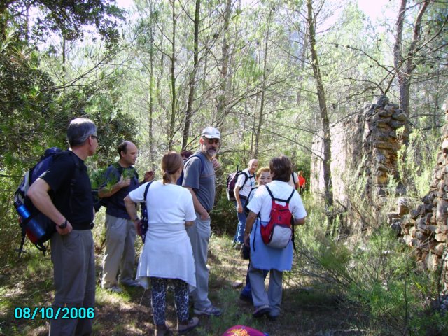 imgp0677.jpg