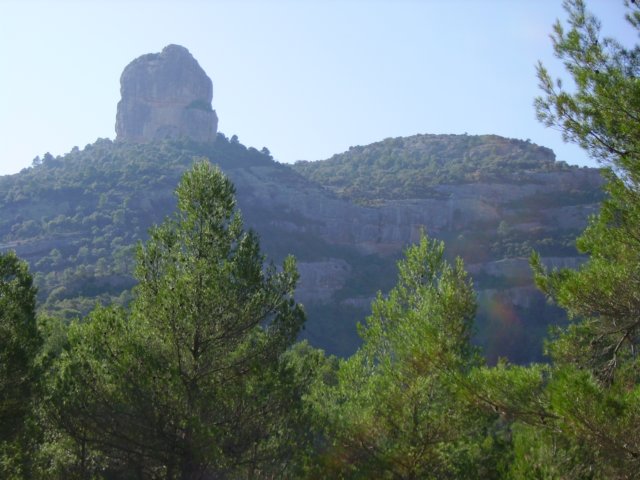 imgp0682.jpg