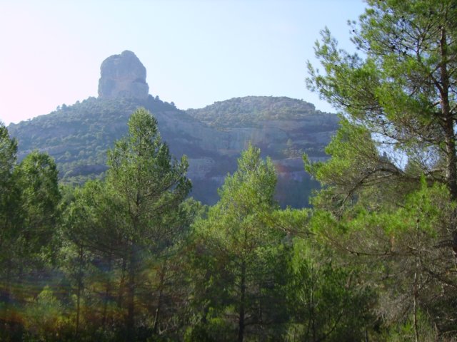 imgp0683.jpg
