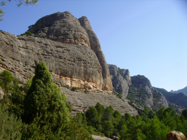 imgp0692.jpg