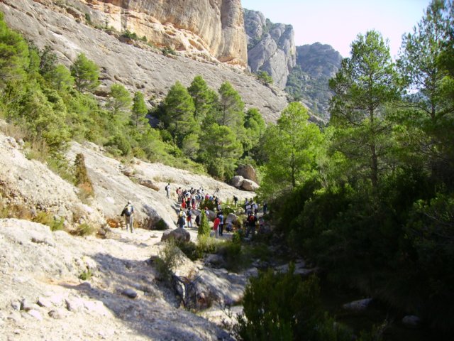 imgp0697.jpg