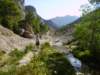 imgp0704_small.jpg