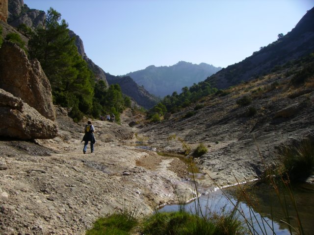 imgp0706.jpg