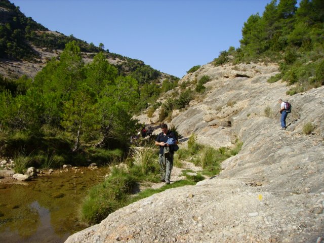 imgp0708.jpg