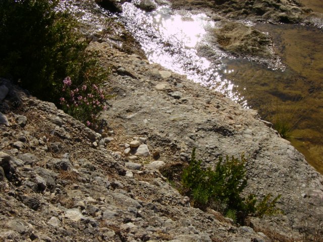 imgp0711.jpg