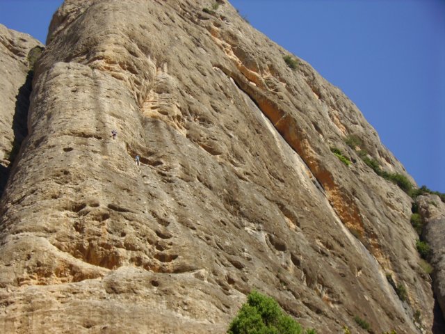 imgp0714.jpg