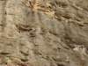 imgp0723_small.jpg