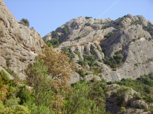 imgp0724.jpg