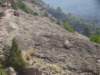 imgp0728_small.jpg