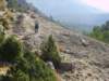 imgp0729_small.jpg