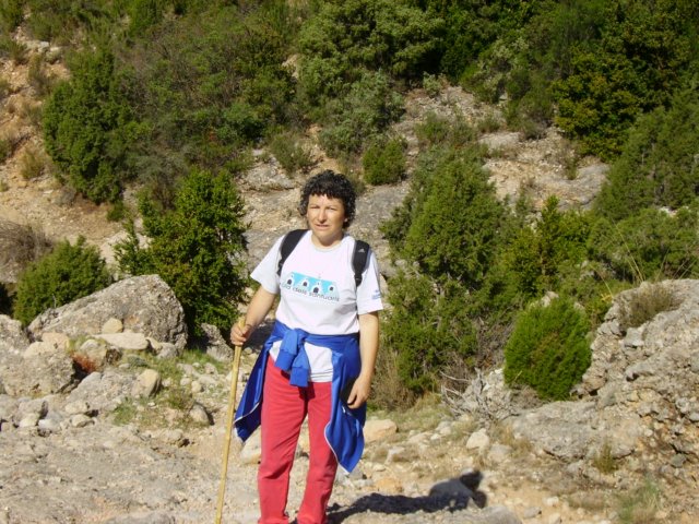 imgp0731.jpg